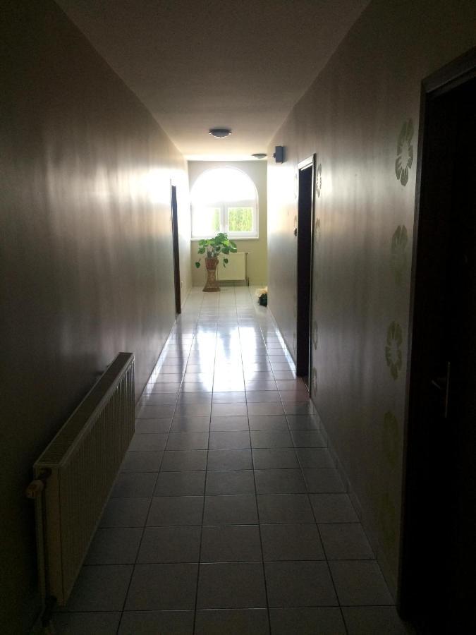 Venusz Panzio Es Vendeglo Bed and Breakfast Bagod Εξωτερικό φωτογραφία